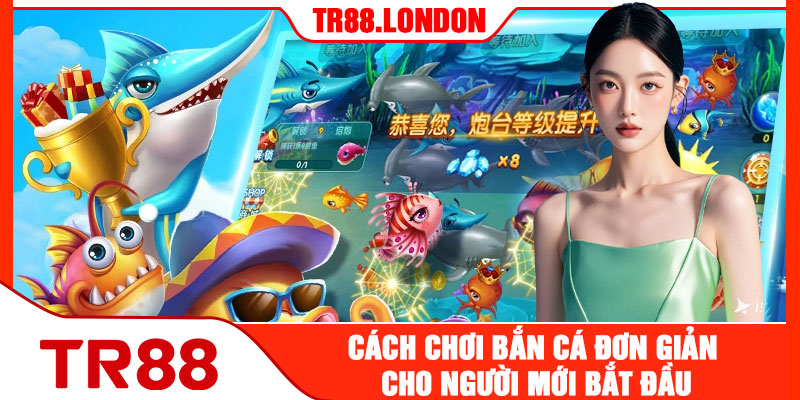 Cách Chơi Bắn Cá Đơn Giản Cho Người Mới Bắt Đầu