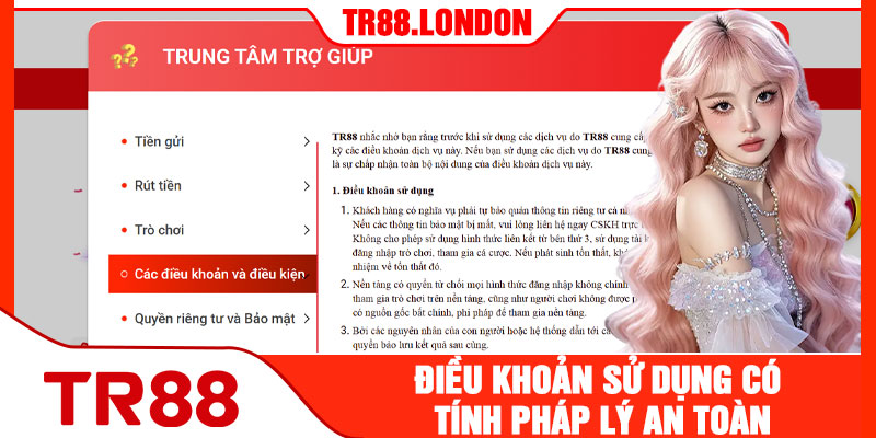 Điều Khoản Sử Dụng Có Tính Pháp Lý An Toàn