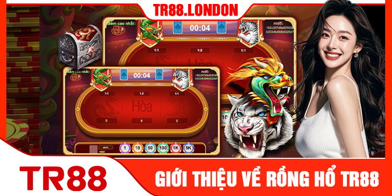 Giới Thiệu Về Rồng Hổ TR88